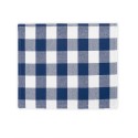 Check Placemats - Set of 4