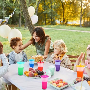 Double Walled  Insul...